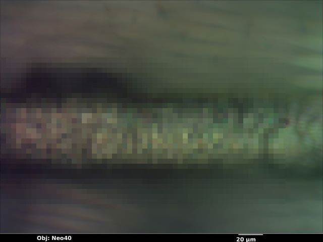 髪の毛に関連した画像-01