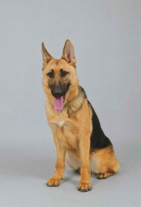 �ٻ�����������١�ɽ�����ܺ������������˴�Ϣ��������-03