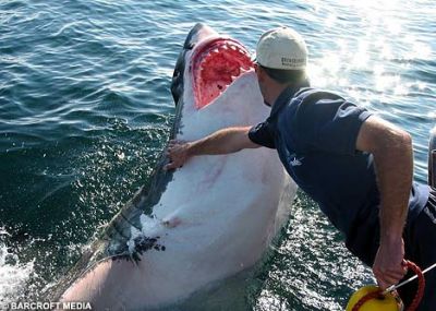 ����˴�Ϣ��������-01