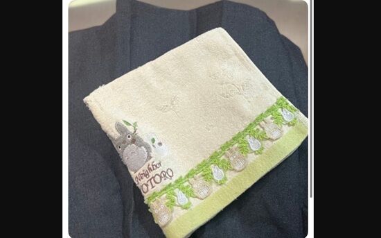 イケメン ハンカチ 彼女 ブス 発狂 に関連した画像-01