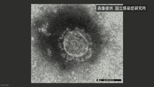 新型コロナウイルス 弱点 湿気に関連した画像-01