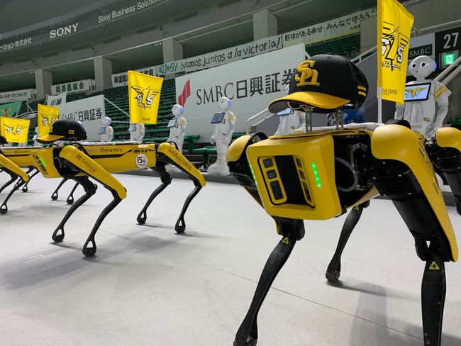 ��� ���եȥХ󥯥ۡ����� �ڥåѡ� ��­��ԥ��� Spot ���� ���� ̵�ѵһ��˴�Ϣ��������-02