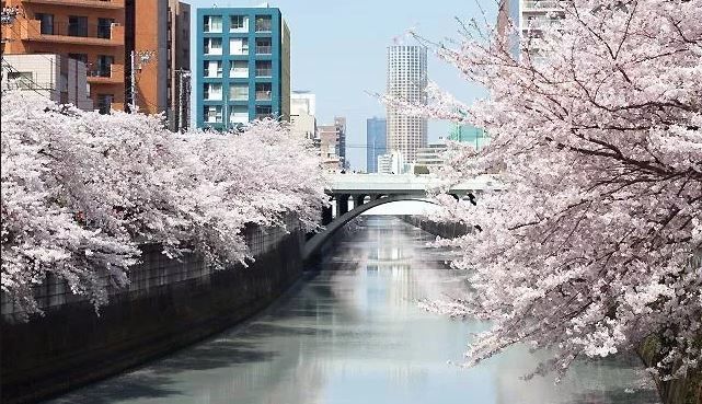 黒川 氾濫 目