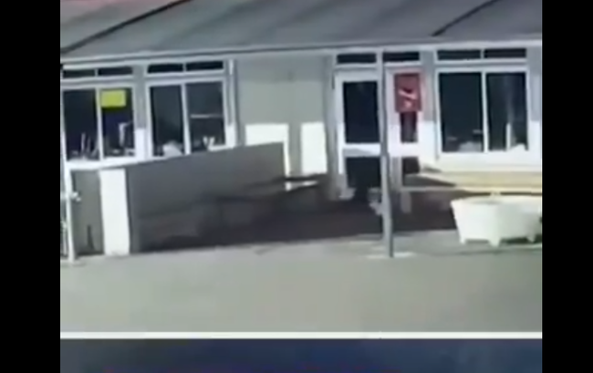 NZ　学校　小学校　1年以上　盗難　下着　犯人　猫に関連した画像-01