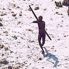 インド センチネル族 射殺に関連した画像-03