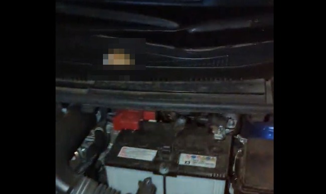 車　花火　打ち上げ花火　不発弾　落下に関連した画像-01