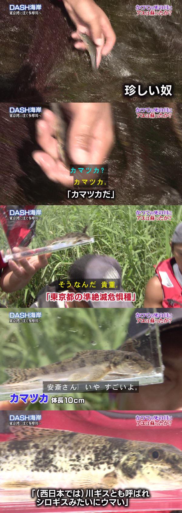 Tokio 伝説の 絶滅危惧種 を捕獲する オレ的ゲーム速報 刃 Tokio 伝説の 絶滅危惧種 を捕獲する オレ的ゲーム速報 刃