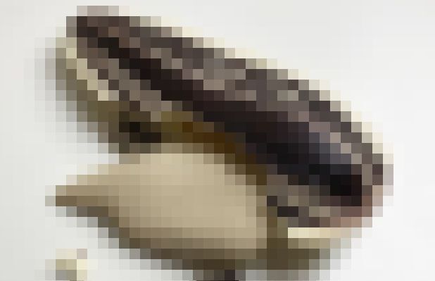 Ëå¡¡·»¡¡¥Æ¥ó¥·¥ç¥ó¡¡¾å¤¬¤ë¡¡¤ª¤ä¤Ä¡¡¤Ë´ØÏ¢¤·¤¿²èÁü-01