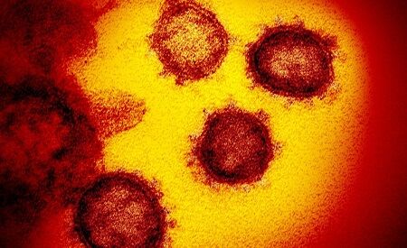 紫外線　光　死滅　新型コロナ　デルタ株　ゲーミング　LEDに関連した画像-01