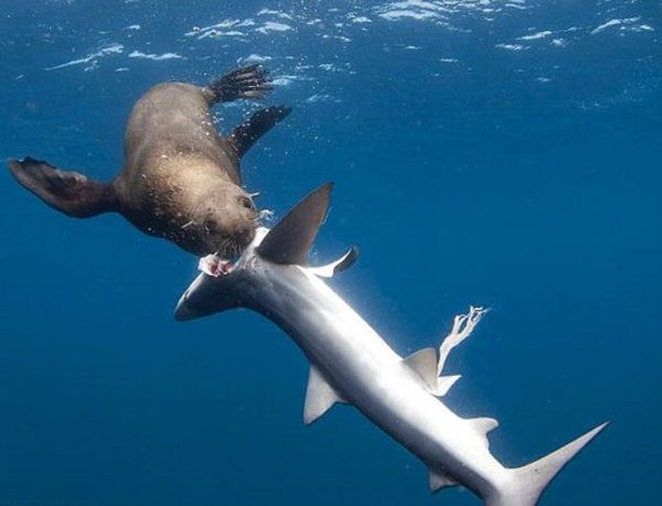 ���åȥ��������ᡡ�����˴�Ϣ��������-04