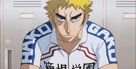 弱虫ペダル ヴィレッジヴァンガード ポップに関連した画像-01
