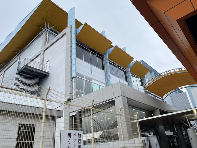 �ץꥭ�奢 �������� ��� �Ҷ� �Ҥ����륹�����ץꥭ�奢 �ܡ��ȥ졼��ʡ�� ���ơ��� �����ץ�˴�Ϣ��������-02
