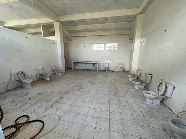 �ȥ��졡���졡ϳ�餹���Х����ϥ����ɡ�����ʪ������˴�Ϣ��������-03