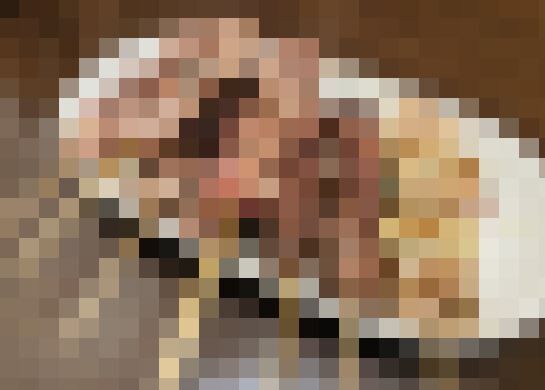 砂肝　ねぎま　焼き鳥　おまかせ　外食　在庫に関連した画像-01