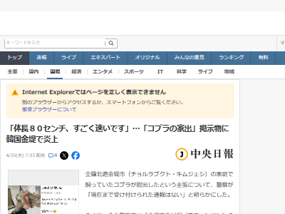 ���֥顡�ء�æ�����إӡ��ڹ񡡱�塡�ܺ�������˴�Ϣ��������-02