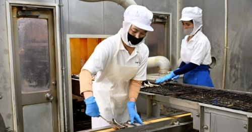 外国人　移民　労働　仕事　技能実習生　給料　ベトナムに関連した画像-01