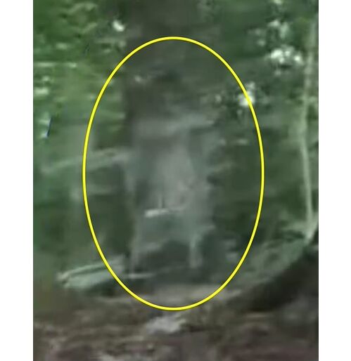 心霊スポット　生配信　配信者　夫婦　鉱山　事故　白い服の少女　心霊現象　幽霊　映るに関連した画像-05