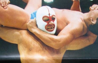 デストロイヤー プロレス 逮捕 死去に関連した画像-01