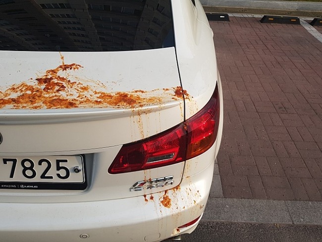 韓国人 日本車 キムチテロに関連した画像-03