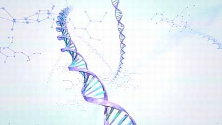 DNA ゲイ 判別に関連した画像-01