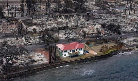 ハワイ　山火事　マウイ島　コンクリート　無傷に関連した画像-01