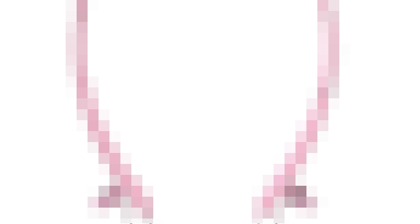 うさみみ うさ耳 イヤホン ヘッドフォン Bluetoothに関連した画像-01