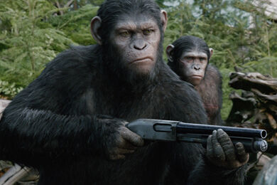 インド 村 猿 子犬 皆殺し 腹いせに関連した画像-01