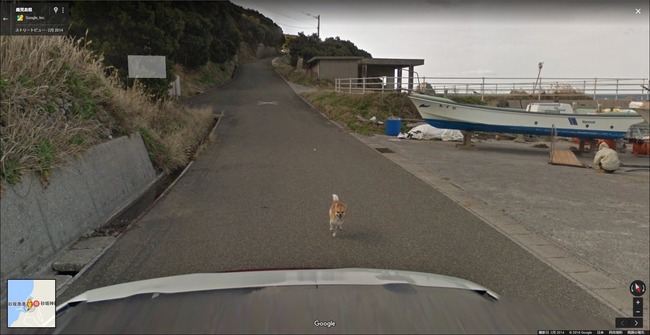 グーグル google ストリートビュー 犬 イッヌに関連した画像-04
