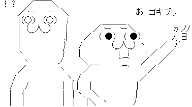 ゴキブリ 巣穴 庭 ガソリン ブラジルに関連した画像-05