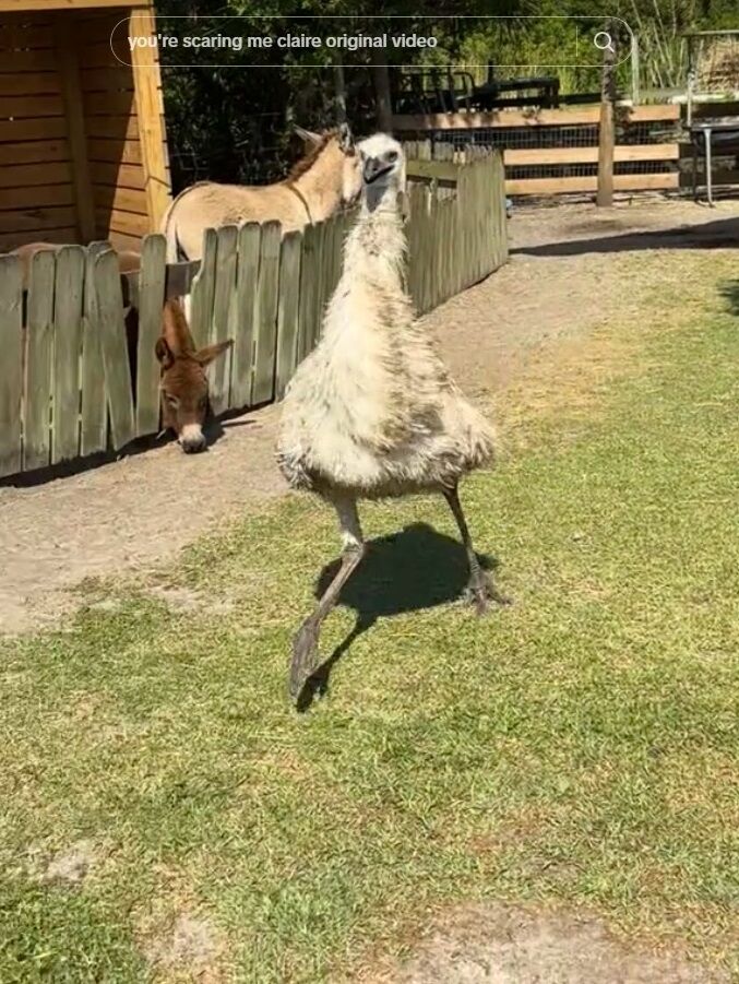 ���� ���ߥ塼 �����祦 �Ҷ� �ɤ������ä� ���ݤ˴�Ϣ��������-10