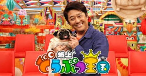 坂上どうぶつ王国　能登　被災地　猫　保護　JARF　フジテレビに関連した画像-01