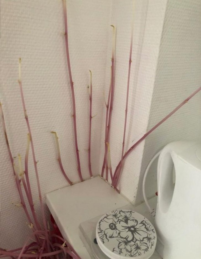 ���㤬���� �� ���� 2���� ȯ�� ��˴�Ϣ��������-03