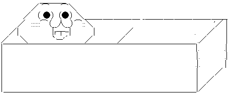 WS000000