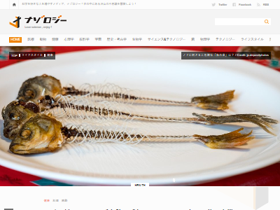 魚 ノド 骨 異物 危険に関連した画像-02