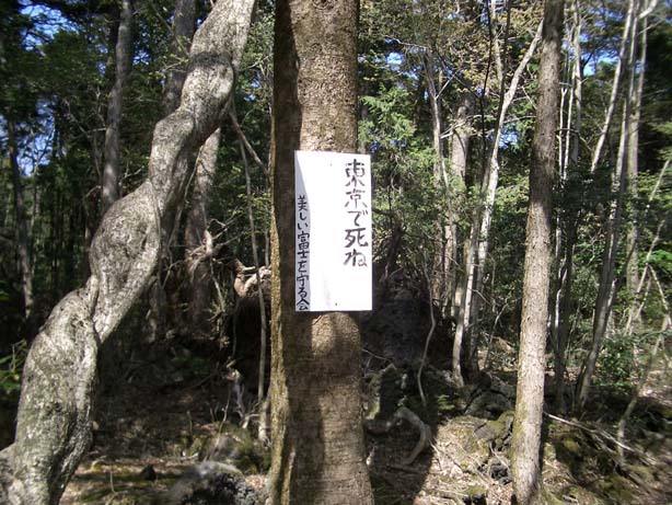 日本 自殺名所 青木ヶ原樹海 観光名所 ブレイク 自殺に関連した画像-04
