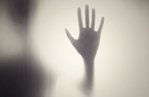 鮫島事件　2ちゃんねる　映画　武田玲奈に関連した画像-01