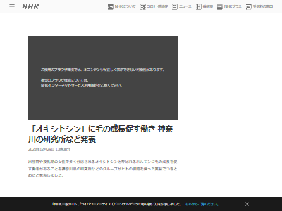 �ӡ���Ĺ�����ӡ��ϥ����������ȥ���ǥ�����ϥ����ۥ��󡡰����ҡ��˴�Ϣ��������-02