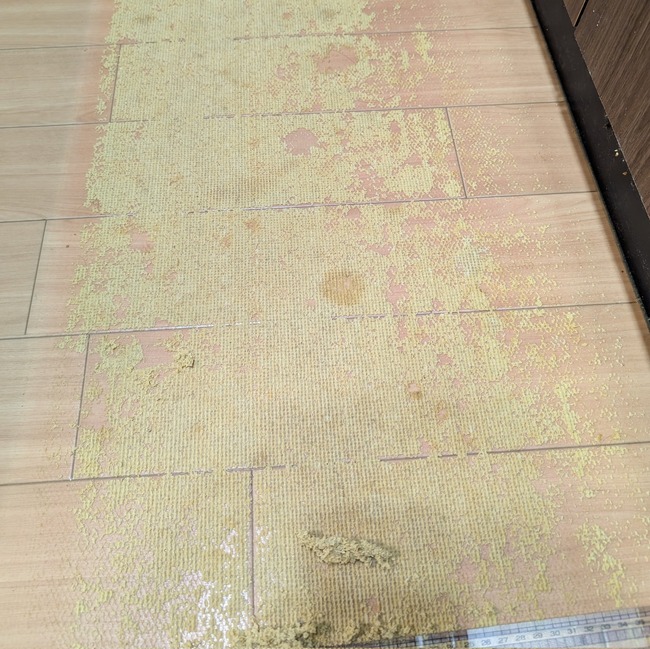 ���å���ޥå� ���� �ÿ�ʬ��˴�Ϣ��������-02