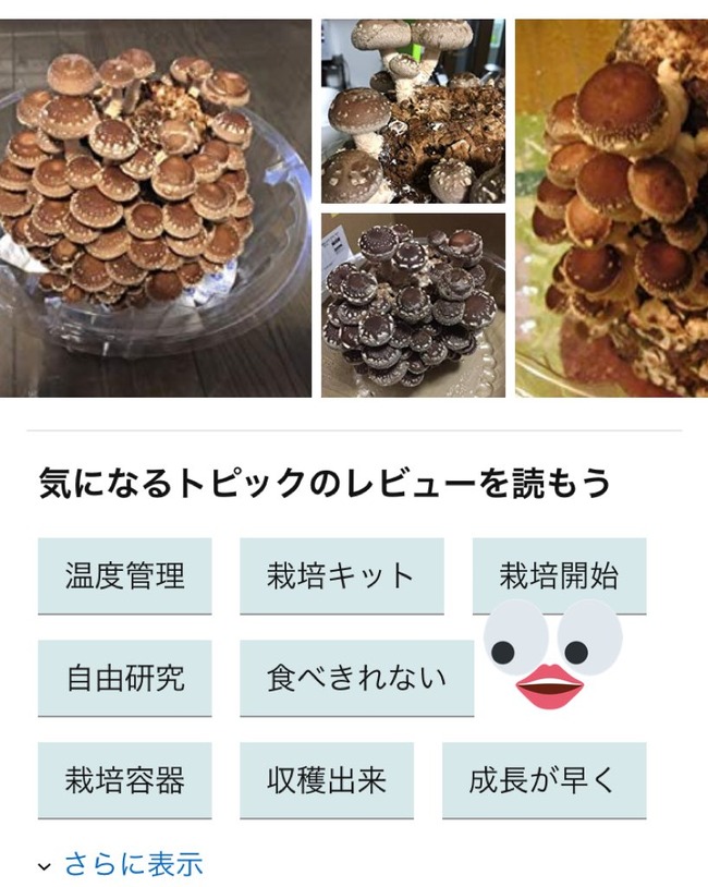 ������������ ��ʬž�� ��������˴�Ϣ��������-03