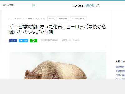 ��ʪ�ۡ����С��ѥ�������Ǥ˴�Ϣ��������-02