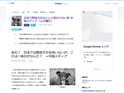 中国人 日本に野良犬が全然いない理由 を知り絶望 日本人は民度が高いと思ってたのに オレ的ゲーム速報 刃 中国人 日本に野良犬が全然いない理由 を知り絶望 日本人は民度が高いと思ってたのに オレ的ゲーム速報 刃