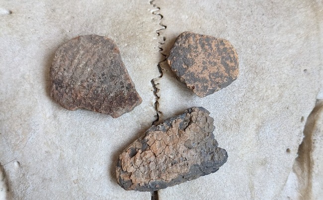 X民 子供時代 石 収集 正体 縄文土器 欠片 三内丸山遺跡に関連した画像-01