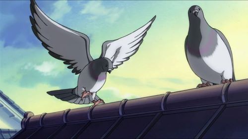 鳩　平和　エンブレム　喧嘩　象徴に関連した画像-01