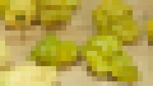 ��ɻҡ��ڥåѡ�X���˴�Ϣ��������-01