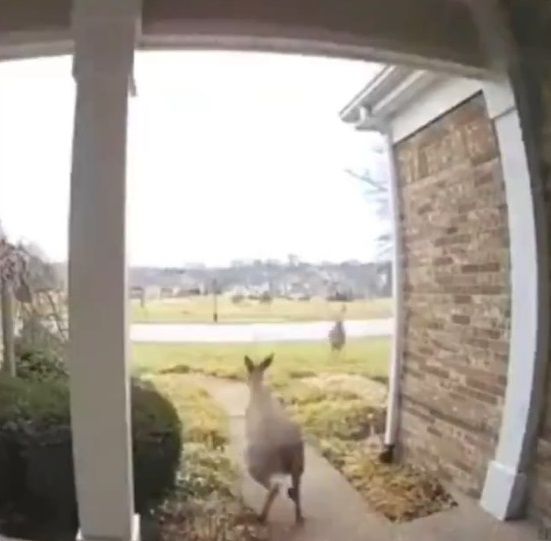 �ԥ�ݥ���å��� �ȿ� ���˴�Ϣ��������-05