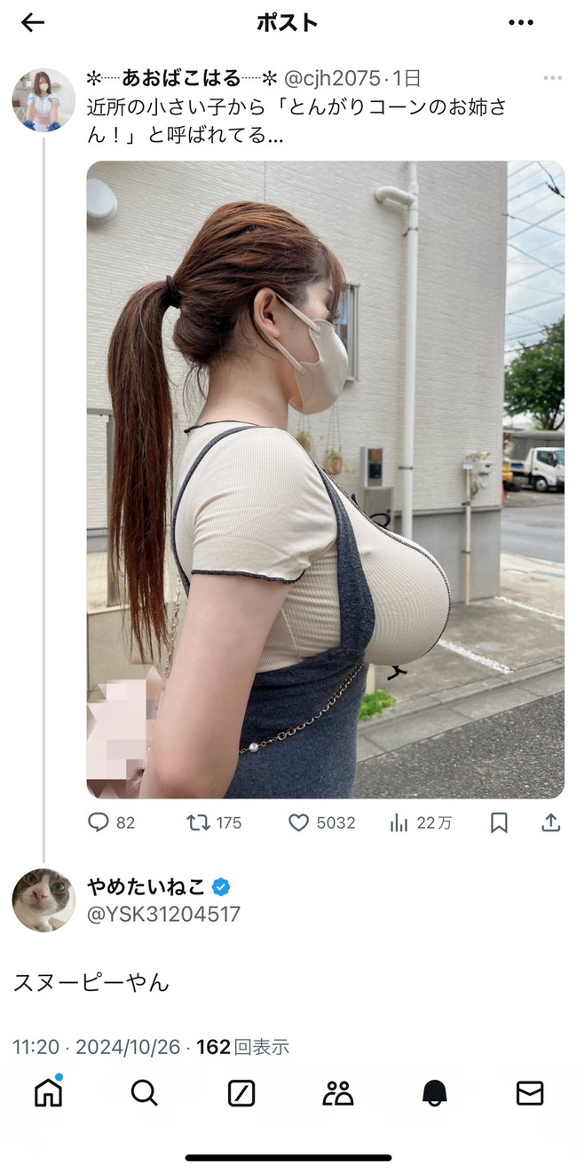 �����������礭�������̡��ԡ��������ץ졡����������פ˴�Ϣ��������-03