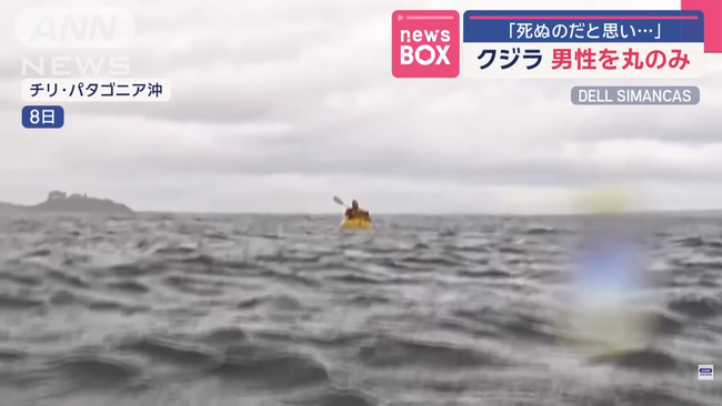 �����顡��ƻ����������������å����ܡ��ȡ����ꡡ�ѥ����˥��˴�Ϣ��������-02