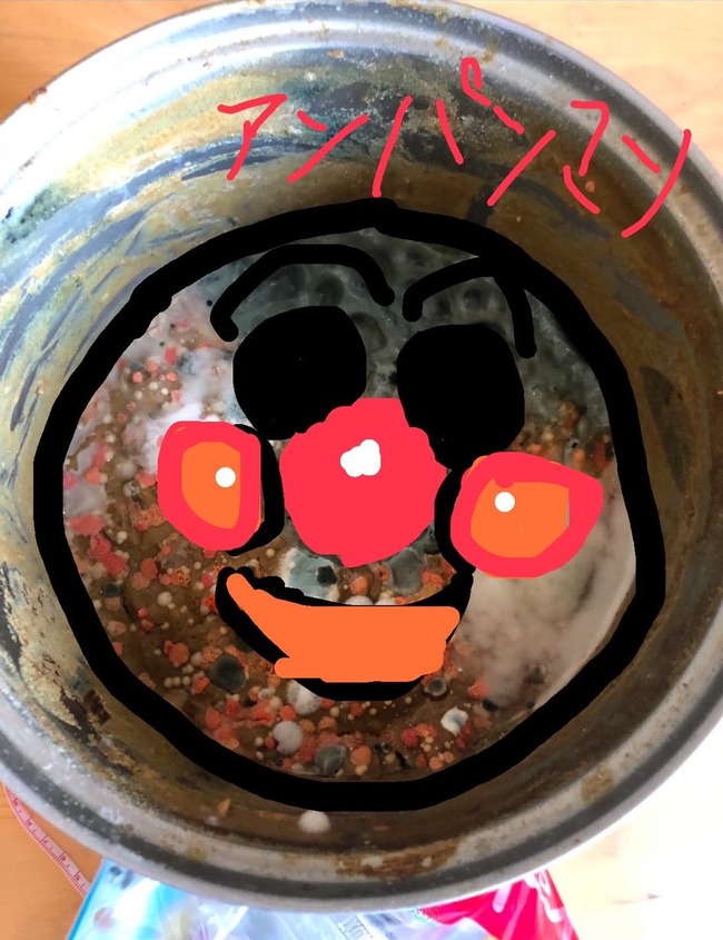 カレー 放置 カビ 完食 1億円 グロに関連した画像-04