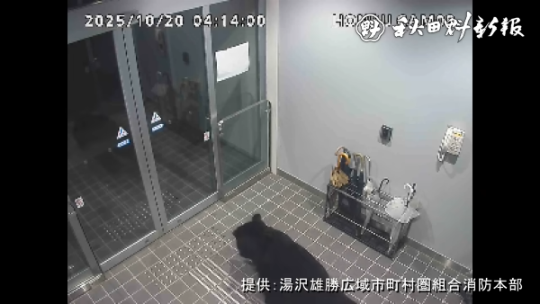 秋田県 庁舎 自動ドア 熊 クマ 侵入 動画 映像に関連した画像-05