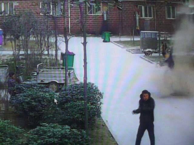 ��ȯ���ޥ�ۡ��롡���ݡ��˴�Ϣ��������-05